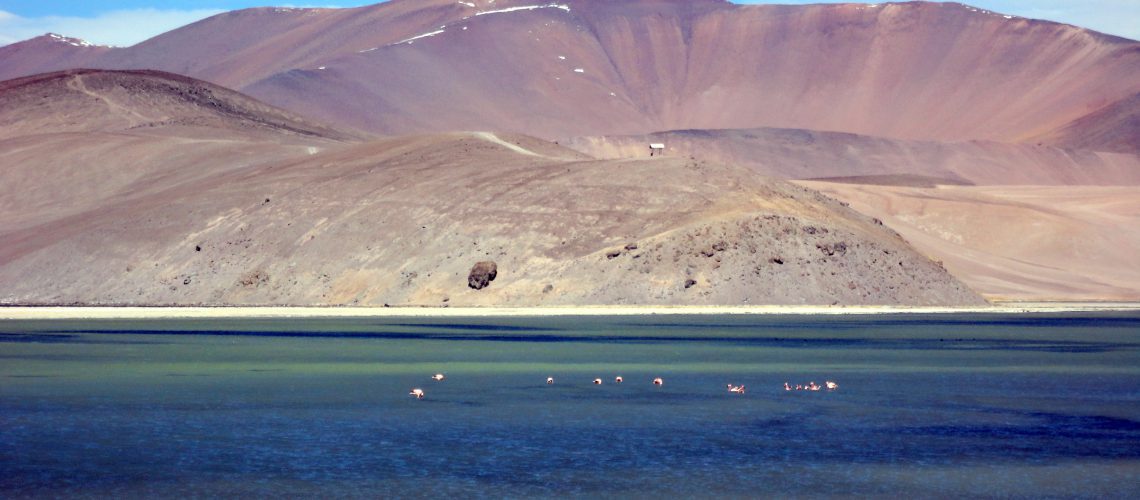 Atacama Laguna del Negro Francisco Atacama Laguna del Negro Francisco